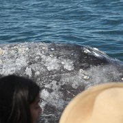 IMG 0001 2 (49)